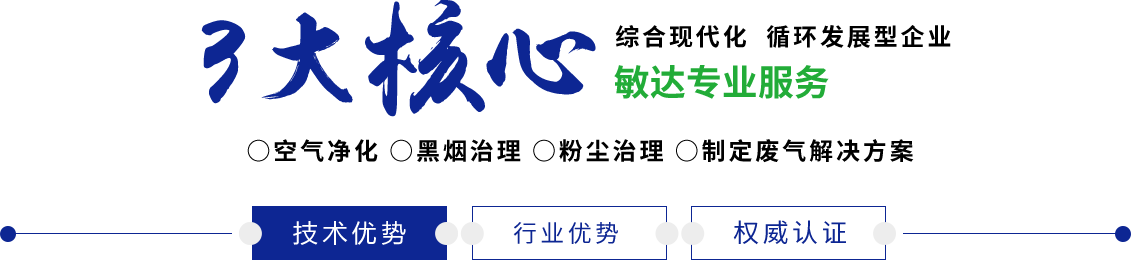 日本性感阴唇艹在线观看国产敏达环保科技（嘉兴）有限公司